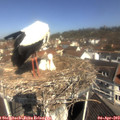 10_55-nest.jpg