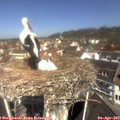 11_10-nest.jpg