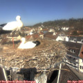 11_30-nest.jpg