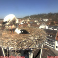 11_55-nest.jpg