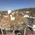 12_25-nest.jpg