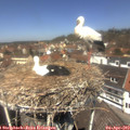 12_40-nest.jpg