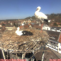 12_45-nest.jpg