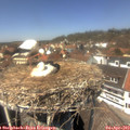 13_45-nest.jpg