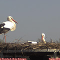 14_05-mast.jpg
