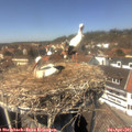 14_05-nest.jpg