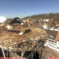 14_10-nest.jpg