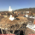 14_20-nest.jpg