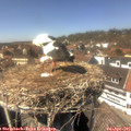 14_30-nest.jpg