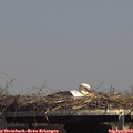 14_35-mast.jpg