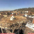 14_35-nest.jpg