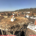 14_40-nest.jpg