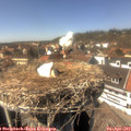 14_55-nest.jpg
