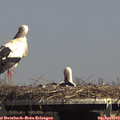 15_00-mast.jpg