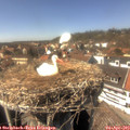 15_05-nest.jpg