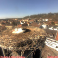 15_25-nest.jpg