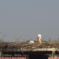15_30-mast.jpg
