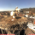 15_45-nest.jpg