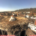 16_05-nest.jpg
