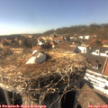 16_10-nest.jpg