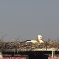 16_15-mast.jpg