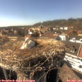 16_15-nest.jpg
