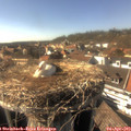 16_25-nest.jpg