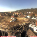 16_30-nest.jpg