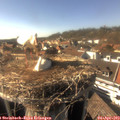 16_35-nest.jpg