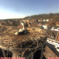 16_50-nest.jpg