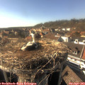 16_55-nest.jpg