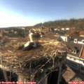 17_15-nest.jpg