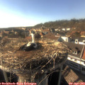 17_20-nest.jpg