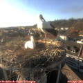 18_10-nest.jpg
