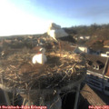 18_15-nest.jpg