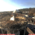 18_20-nest.jpg