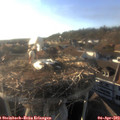 18_35-nest.jpg