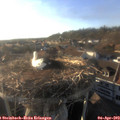 18_40-nest.jpg