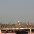 18_45-mast.jpg