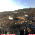 18_50-nest.jpg