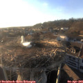 19_00-nest.jpg