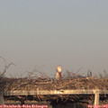 19_05-mast.jpg
