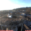 19_10-nest.jpg