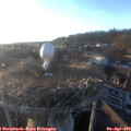 19_15-nest.jpg