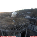 19_50-nest.jpg