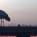 07_00-mast.jpg