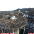 07_00-nest.jpg