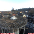 07_15-nest.jpg