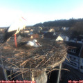 07_20-nest.jpg