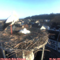 07_25-nest.jpg